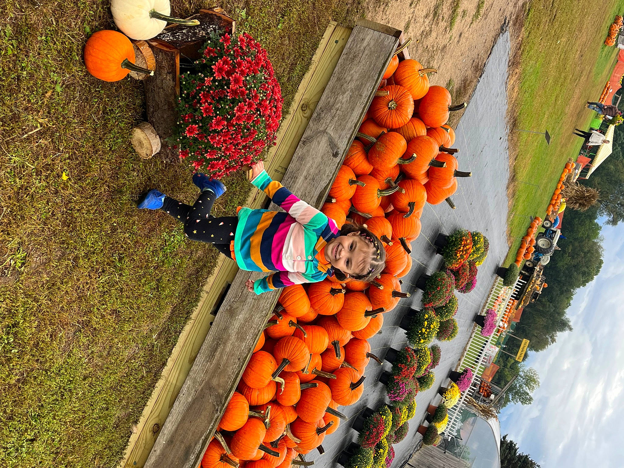 Odessa joined the competition — help win amazing prizes! event, fruit, green, headwear, joy, local_food, natural_foods, orange, person, plant, soil, whole_food, yellow