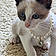 Chanel Catthews
