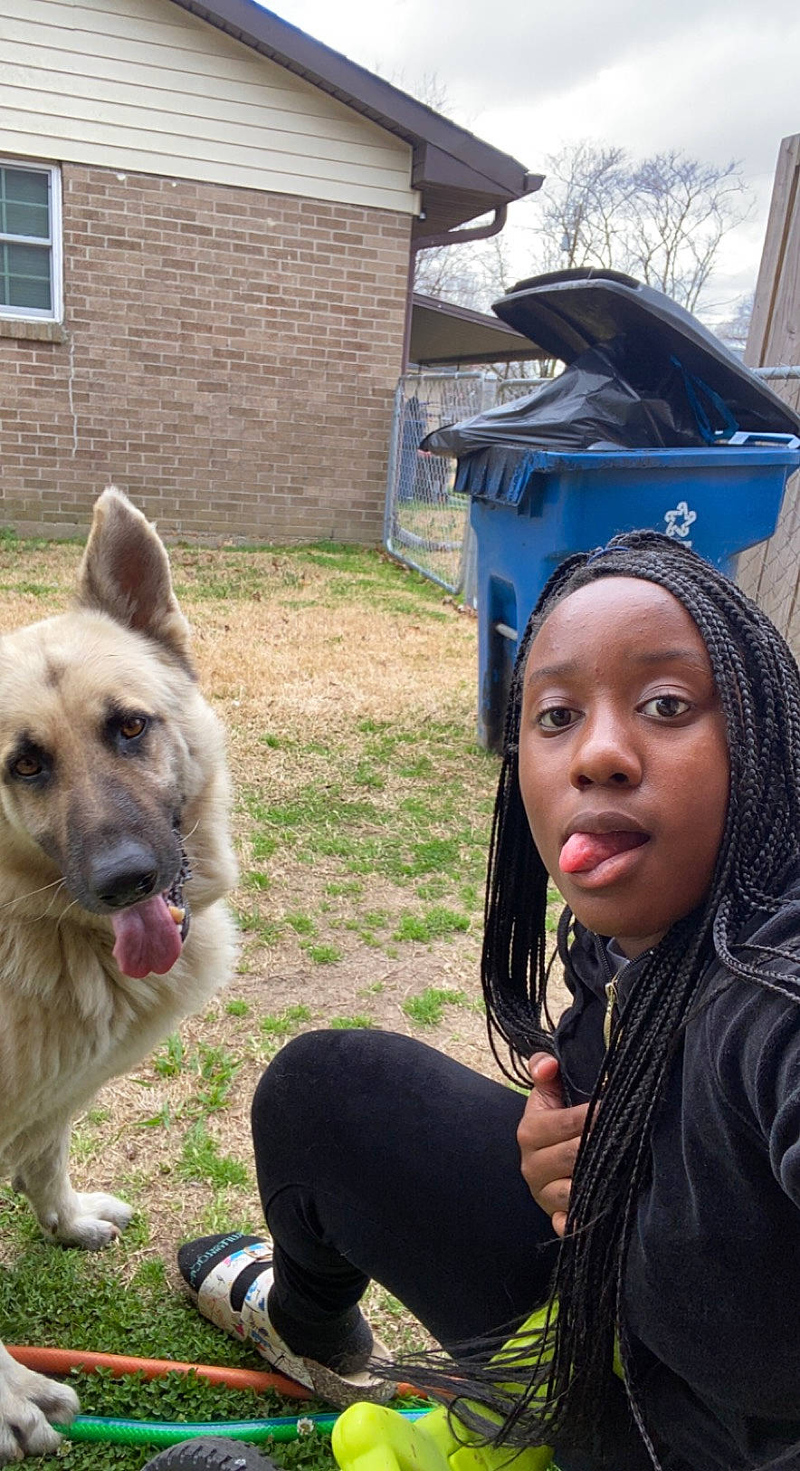 Rocky is registered to the contest to win money with this photo: blue, canidae, carnivore, companion_dog, dog, dog_breed, electric_blue, event, fashion_accessory, fawn, fun, grass, happy, herding_dog, jewellery, livestock_guardian_dog, snout, sporting_group, window, working_dog