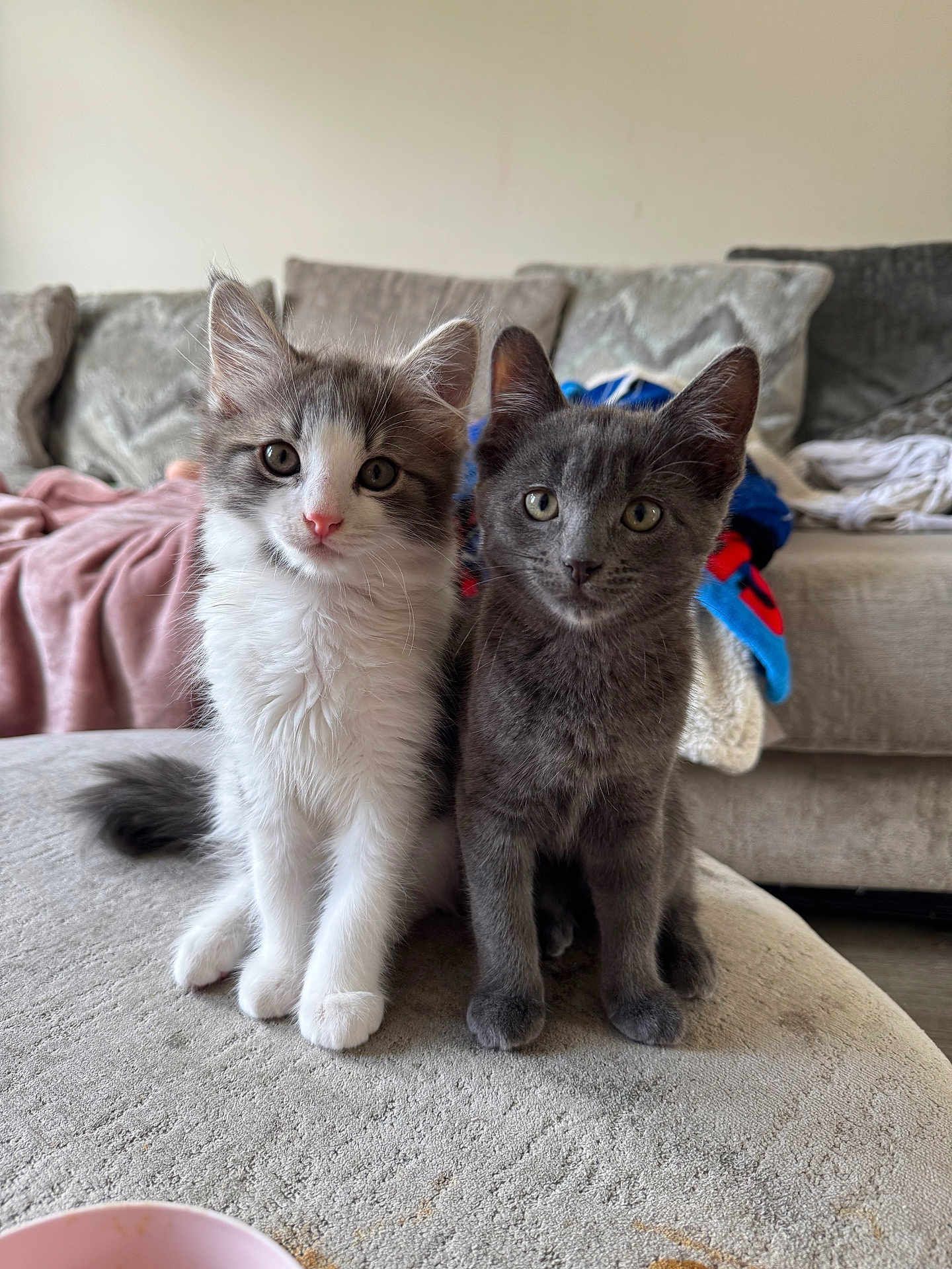 Loki And Lottie