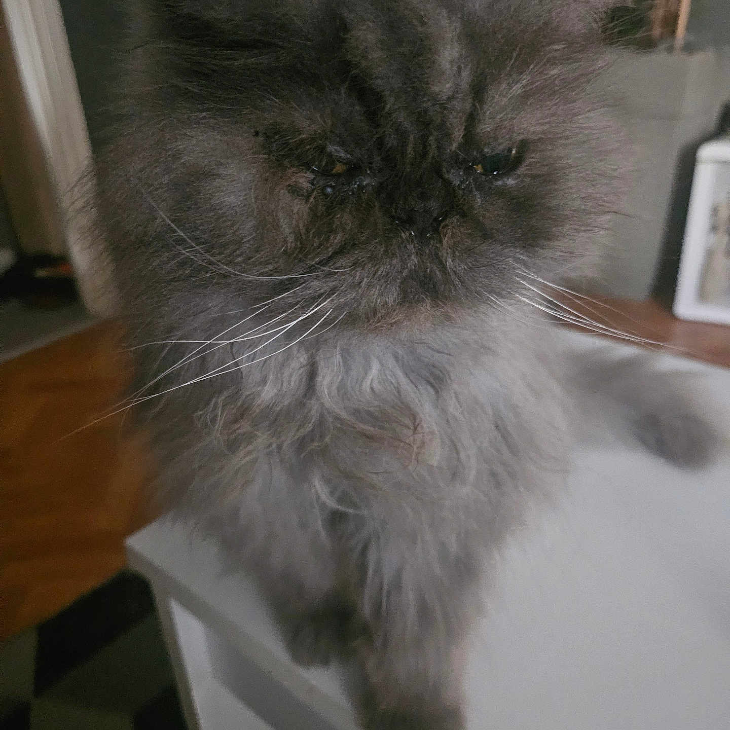Demon
