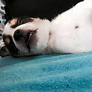 Evee is registered to the contest to win money with this photo: