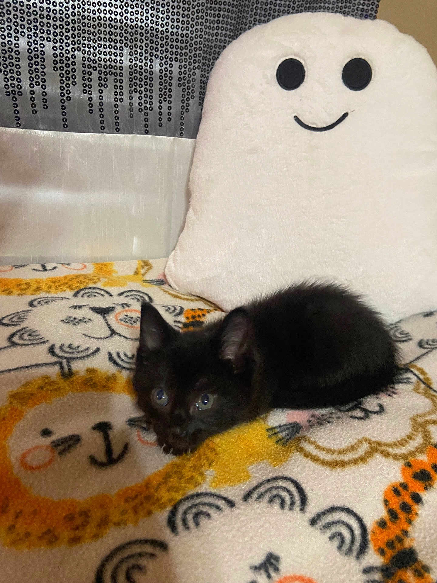 Teeny Tiny Roys joined the competition — help win amazing prizes! kitten, black_cat, plush, blanket, lion_pattern, cute, small_animal, indoor, cozy, soft_toy, smiling_face, pet, animal, feline, resting, curious, comfort, home, cute_pet, sleepy