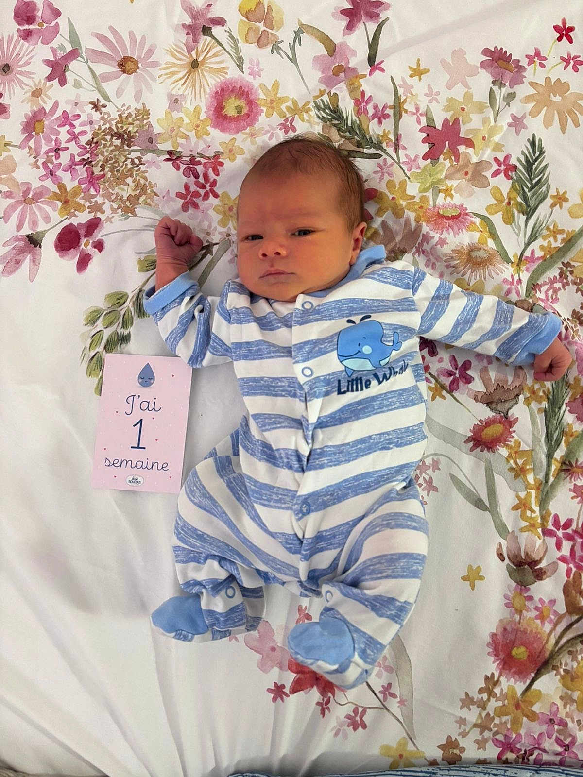 Théonor a rejoint le concours — aidez-le/la à gagner de superbes lots ! baby, newborn, infant, striped_clothing, blue, white, onesie, floral_blanket, pattern, card, milestone, lying_down, serious_expression, cute, person, child, indoors, celebration, sleepwear, small