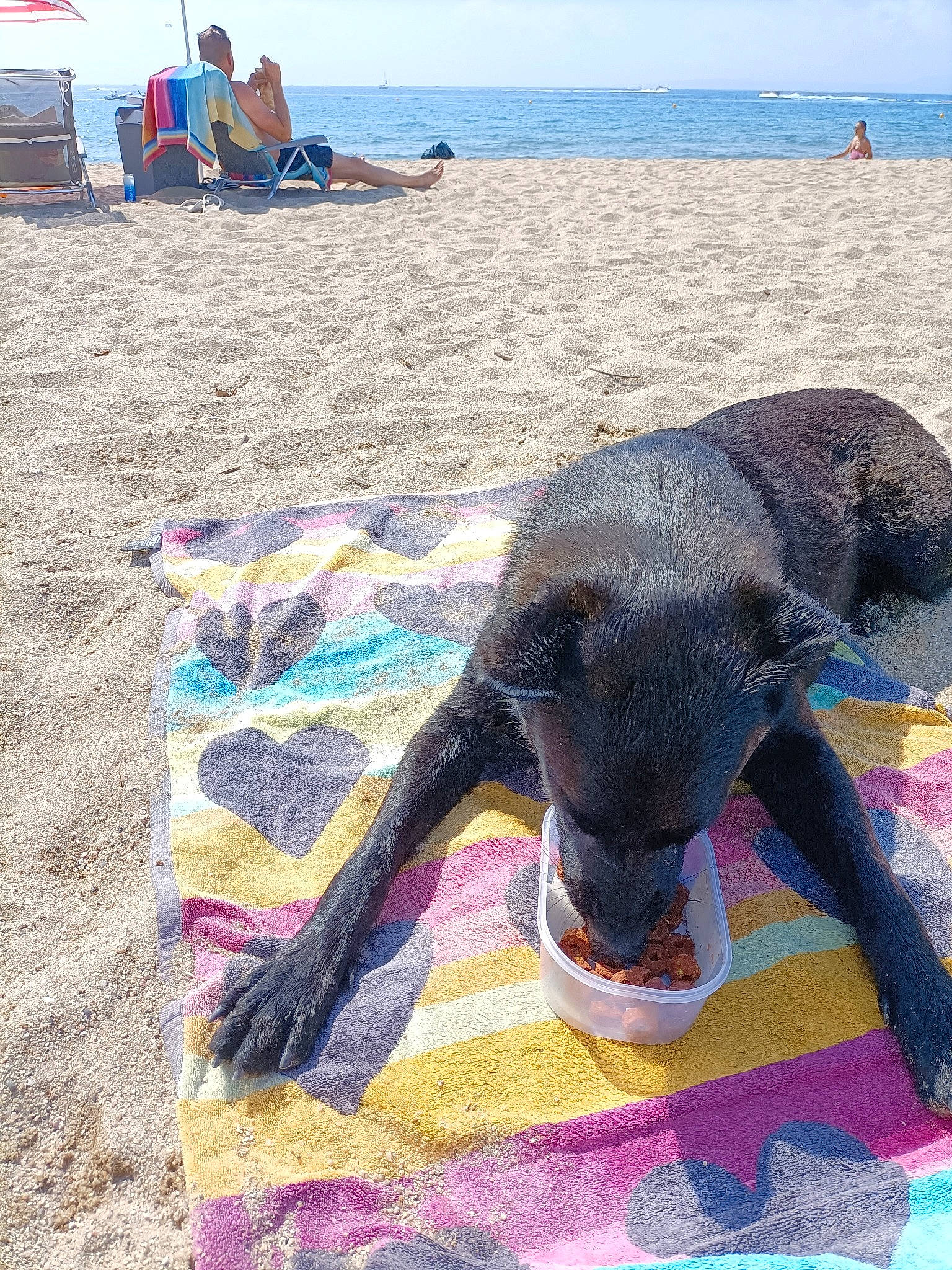 Django participe au concours pour gagner de l'argent avec cette photo : art, beach, blue, chair, coast, elephant, fashion_accessory, fun, leisure, magenta, ocean, outdoor_furniture, people_on_beach, photograph, sand, sky, terrestrial_animal, travel, water, working_animal