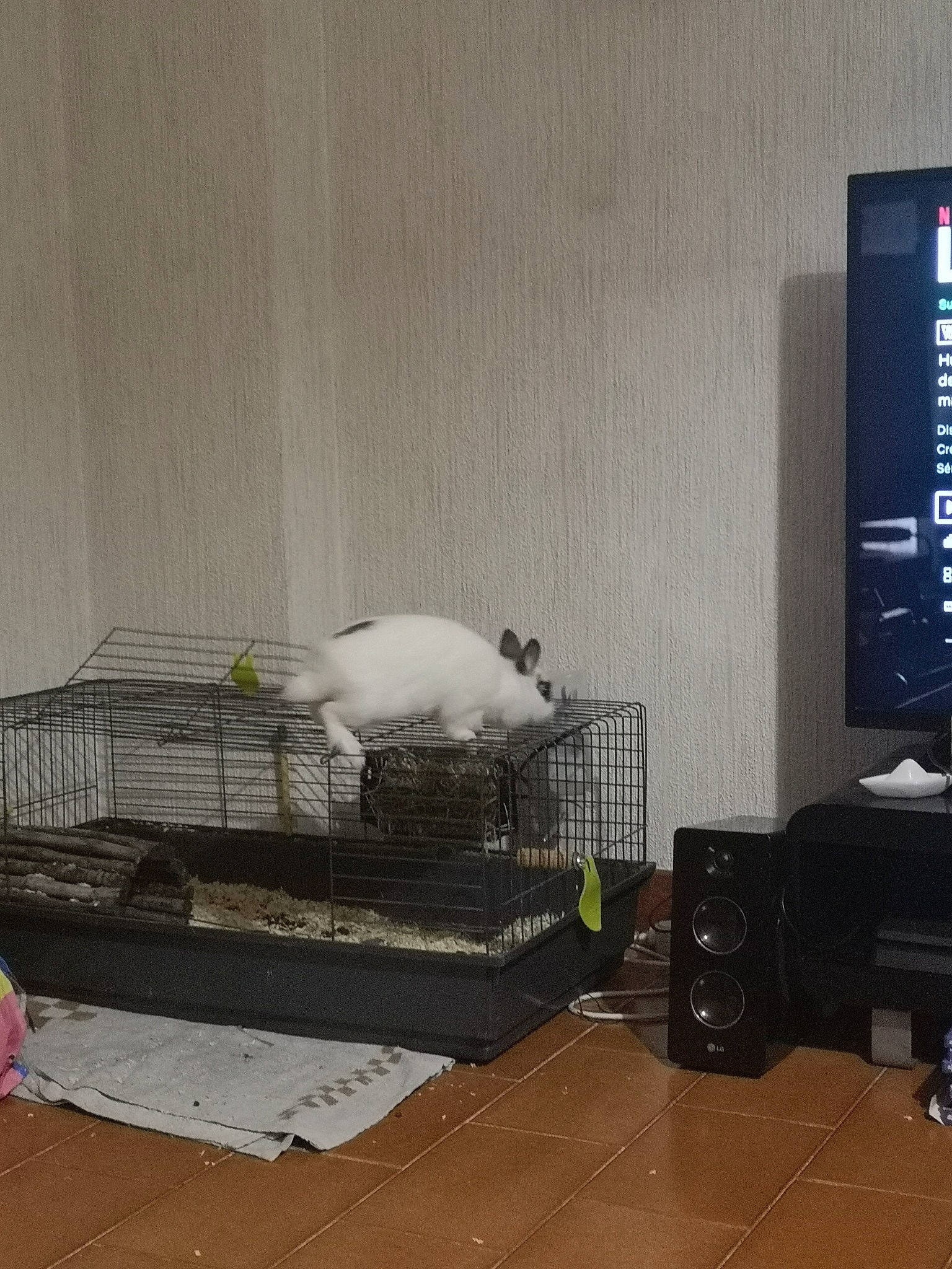 Schtroumpfette a rejoint le concours — aidez-le/la à gagner de superbes lots ! furniture, room