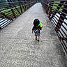 Roberto is registered to the contest to win money with this photo: child, curly_hair, ball, bridge, pedestrian_bridge, concrete, railings, outdoor, walking, greenery, trees, park, daytime, back_view, person, casual_clothing, shorts, tshirt, footwear, nature