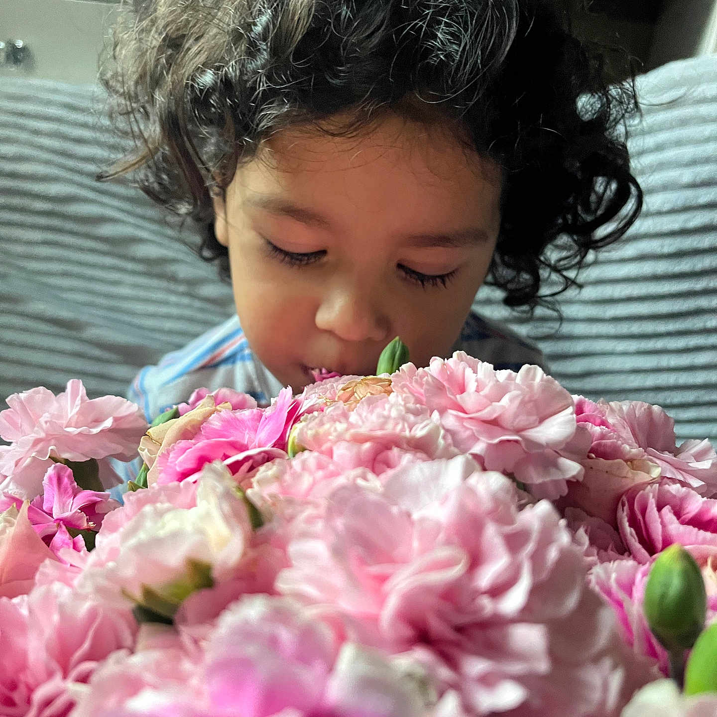Roberto is registered to the contest to win money with this photo: child, toddler, curly_hair, portrait, flowers, bouquet, pink_flowers, flower_arrangement, sniffing, kissing_flowers, closed_eyes, indoor, couch, sitting, face, hair, colorful, close_up, photography, gentle_moment