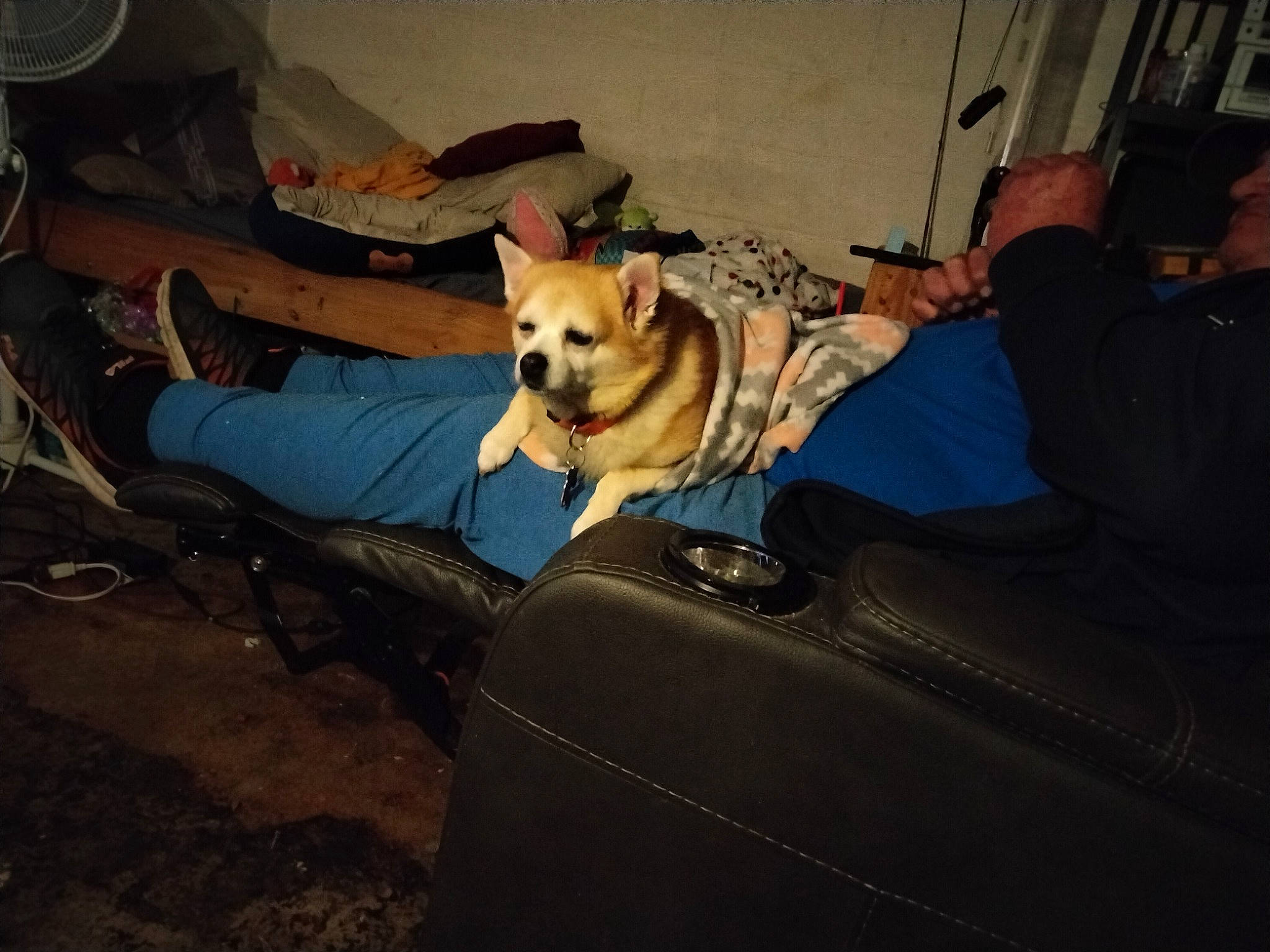 Baby joined the competition — help win amazing prizes! canidae, carnivore, chair, comfort, companion_dog, couch, dog, dog_breed, fawn, flooring, foot, fur, guard_dog, human_leg, mechanical_fan, sitting, snout, sporting_group, tints_and_shades, toy_dog