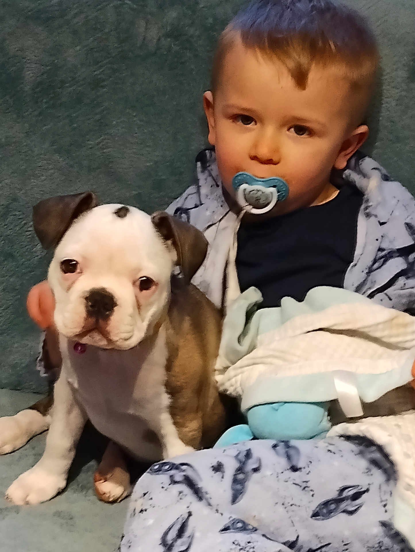 Louna participe au concours pour gagner de l'argent avec cette photo : toddler, pacifier, puppy, bulldog, dog, child, blanket, couch, indoor, cute, pet, young_child, baby, fur, face, sitting, comfort, cozy, expression, home