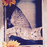 Jayzy participe au concours pour gagner de l'argent avec cette photo :