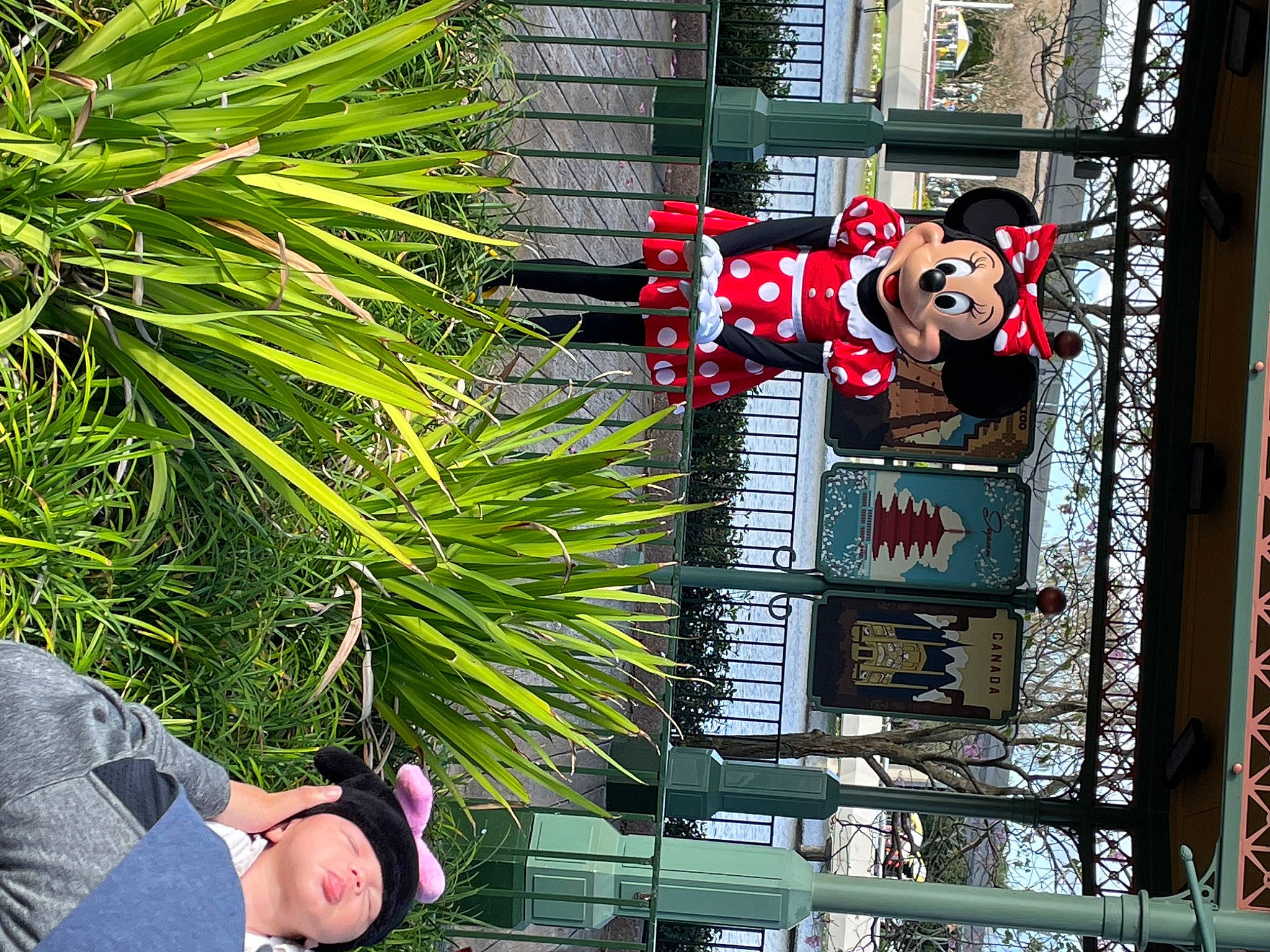 Disney is registered to the contest to win money with this photo: arecales, cap, conifer, evergreen, facade, fictional_character, flowering_plant, garden, grass, headwear, leisure, mixed_use, palm_tree, person, photograph, plant, shrub, snapshot, sunglasses, terrestrial_plant