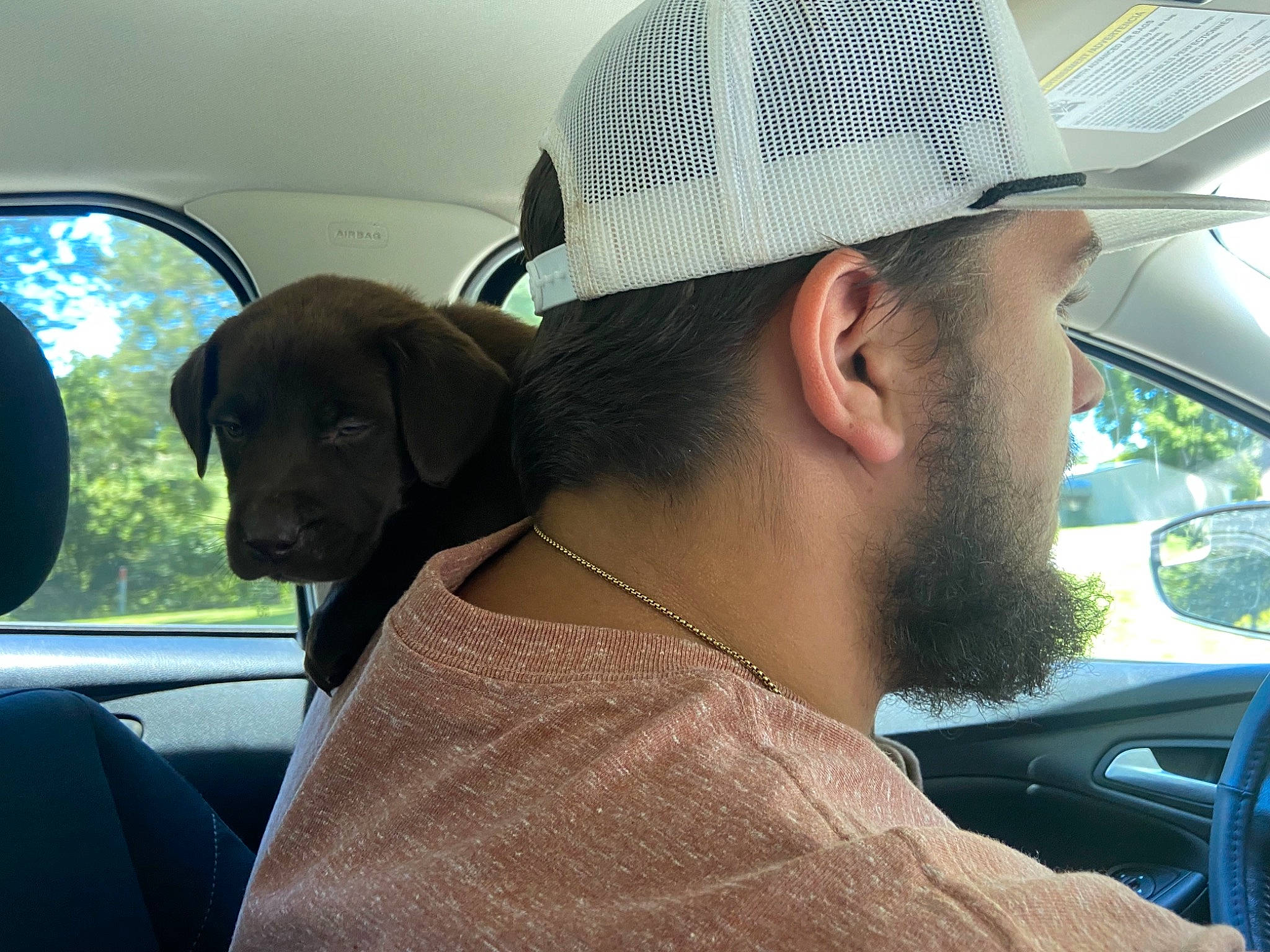 Trapper joined the competition — help win amazing prizes! auto_part, automotive_exterior, automotive_lighting, automotive_mirror, baseball_cap, beard, cap, car, car_seat, car_seat_cover, carnivore, dog, dog_breed, hat, head_restraint, hood, motor_vehicle, vehicle, vehicle_door, window