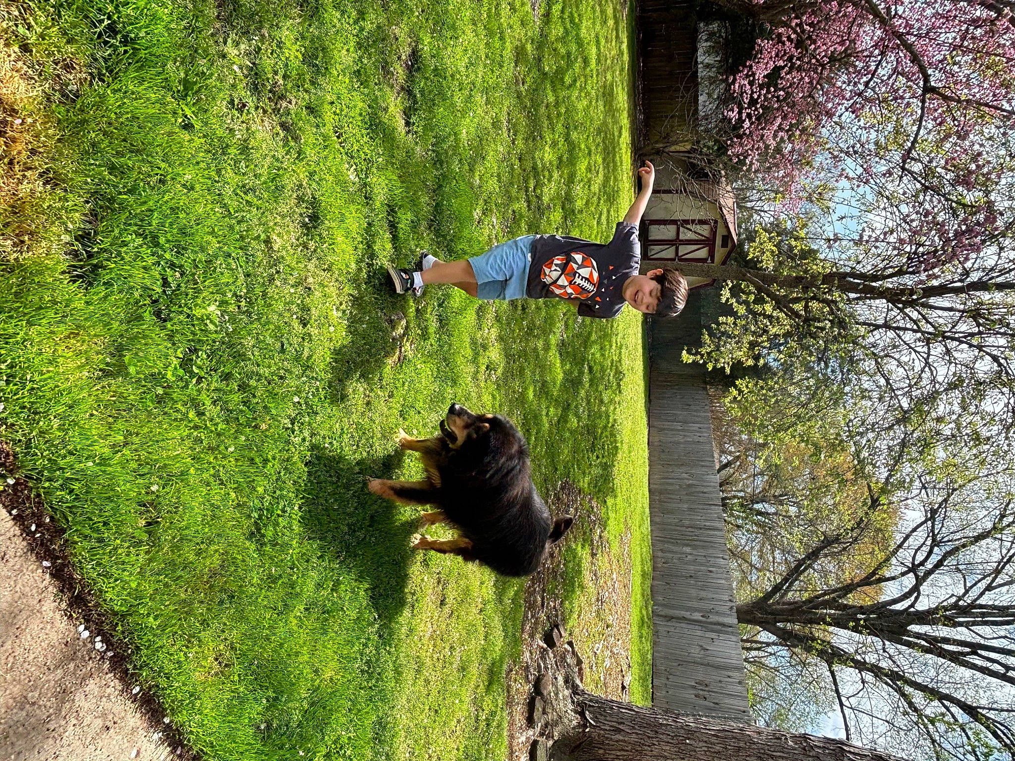 Angelo is registered to the contest to win money with this photo: adventure, carnivore, forest, fun, grass, groundcover, joy, landscape, leisure, people_in_nature, person, plant, recreation, reflection, shadow, shrub, sky, tints_and_shades, tree, trunk