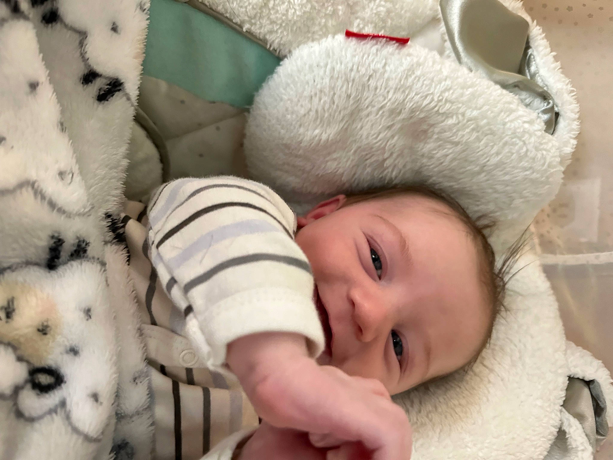 Jake is registered to the contest to win money with this photo: baby, baby_toddler_clothing, cap, carnivore, child, comfort, eye, facial_expression, grass, happy, headgear, nose, organ, people, person, skin, smile, textile, toddler, toy