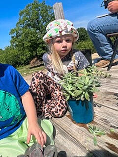 Shaylee joined the competition — help win amazing prizes! adaptation, arbor_day, child, clothing, event, fun, garden, grass, headwear, herb, landscape, leisure, local_food, person, plant, recreation, shrub, sky, soil, spring