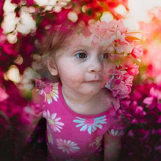 Nancy joined the competition — help win amazing prizes! baby, baby_toddler_clothing, costume_hat, eye, flower, grass, hair, happy, head, headband, headpiece, headwear, leaf, lip, magenta, people_in_nature, person, petal, pink, plant