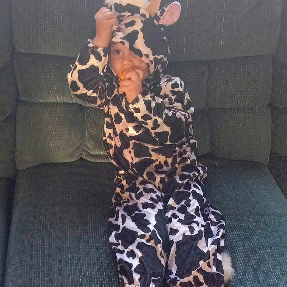 Nancy is registered to the contest to win money with this photo: companion_dog, couch, dress, eyewear, fashion, fashion_design, fawn, felidae, fur, human_leg, leg, pattern, shoe, sleeve, street_fashion, stuffed_toy, tail, textile, thigh, toy