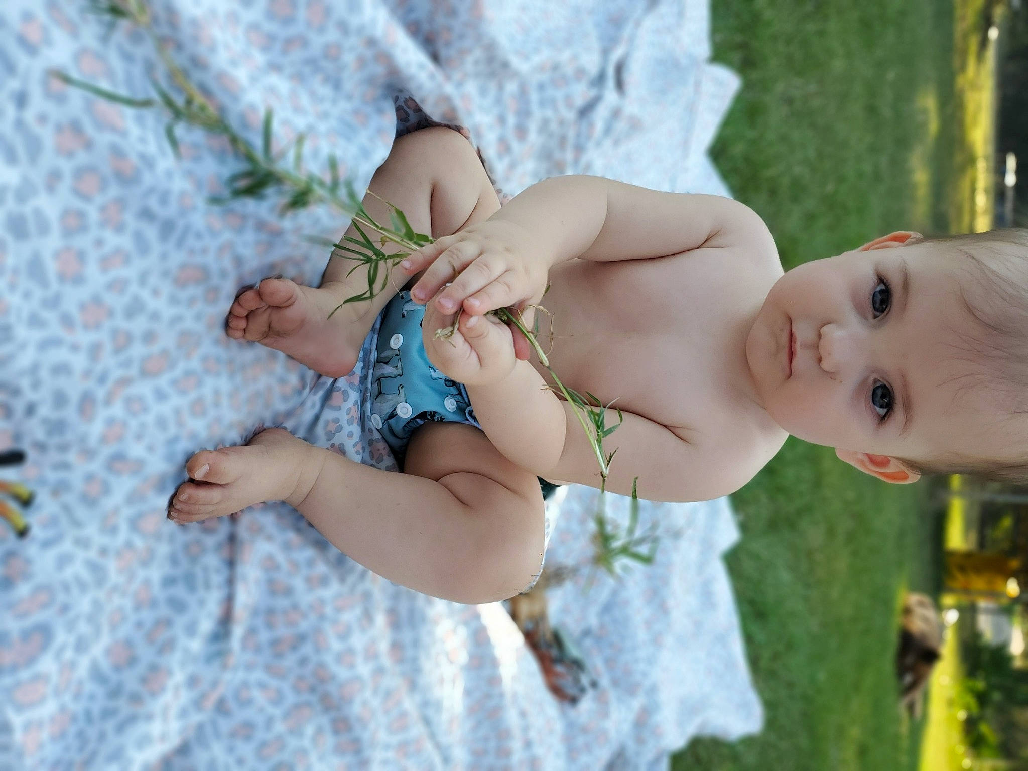 Wisteria is registered to the contest to win money with this photo: abdomen, baby, baby_toddler_clothing, chest, eye, fawn, finger, grass, hand, happy, head, human_body, leg, people_in_nature, person, plant, skin, thigh, toddler, toy