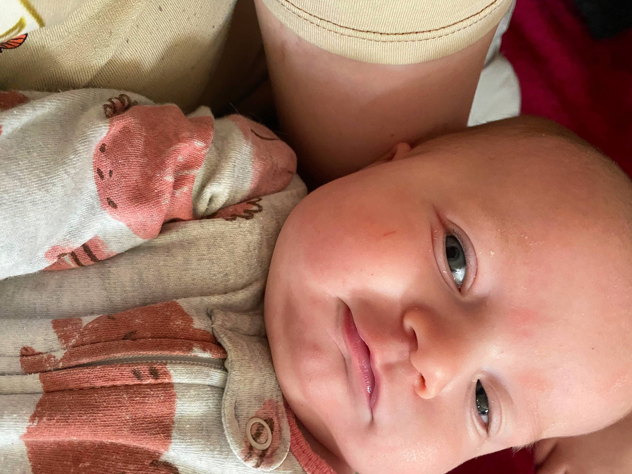 Gwen is registered to the contest to win money with this photo: baby, cheek, chin, ear, eye, eyebrow, eyelash, face, finger, hand, head, human, human_body, iris, lip, mouth, nose, organ, person, product