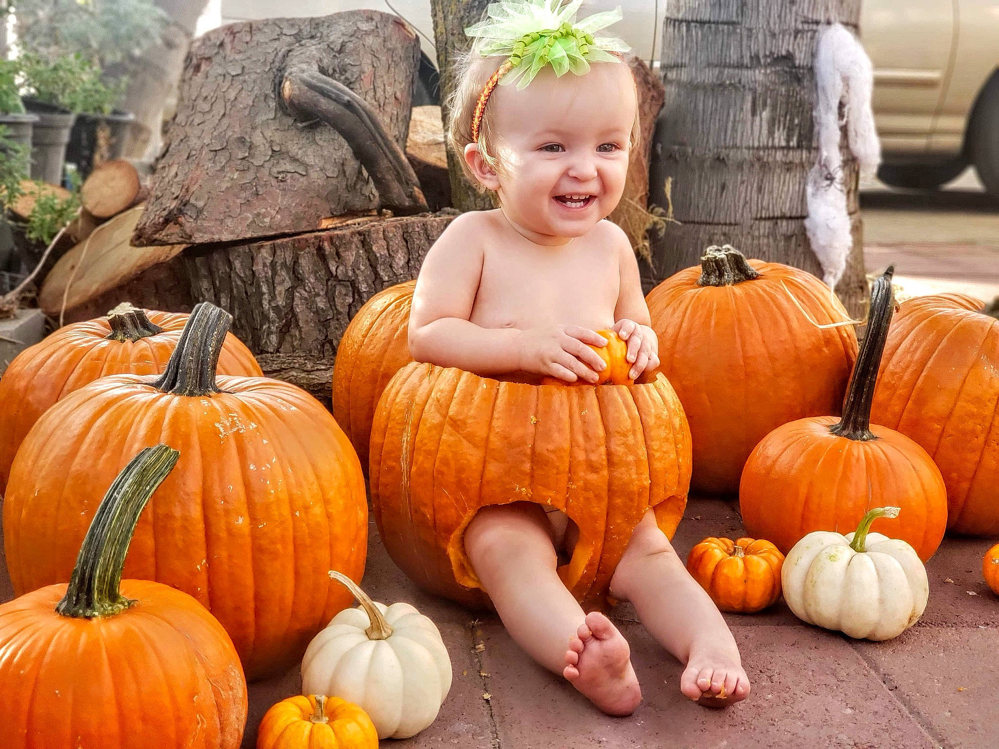 Ella joined the competition — help win amazing prizes! _and_melon_family, _gourd, calabaza, child, cucumber, cucurbita, food, fruit, gourd, joy, local_food, natural_foods, orange, person, plant, produce, pumpkin, squash, superfood, toddler