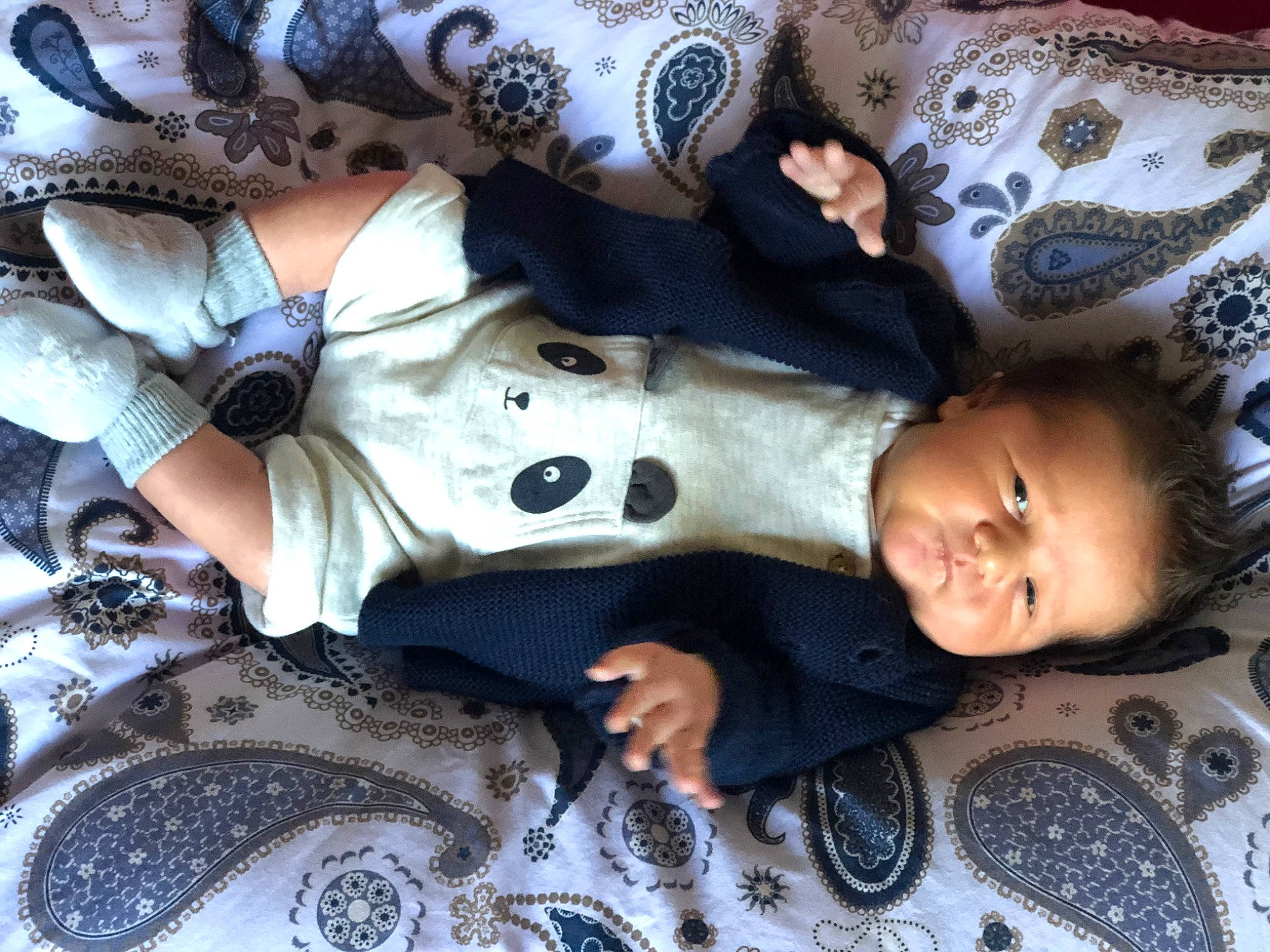 Giulian a rejoint le concours — aidez-le/la à gagner de superbes lots ! baby, child, cool, person, photography, selfie, toddler