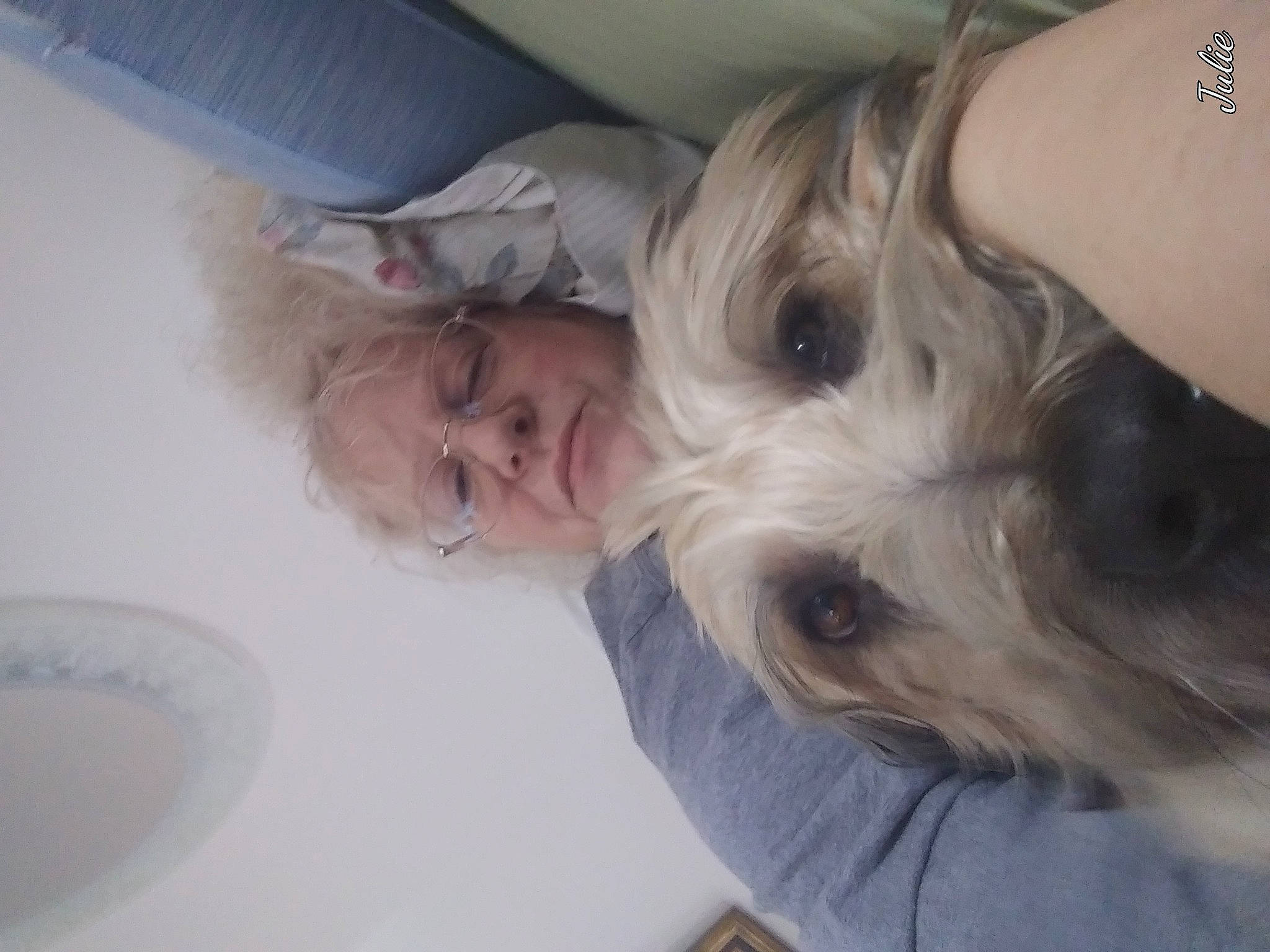 Fletcher is registered to the contest to win money with this photo: carnivore, comfort, companion_dog, dog, dog_breed, eyelash, fur, gesture, happy, nap, puppy_love, selfie, small_terrier, sporting_group, terrier, toy_dog, working_animal