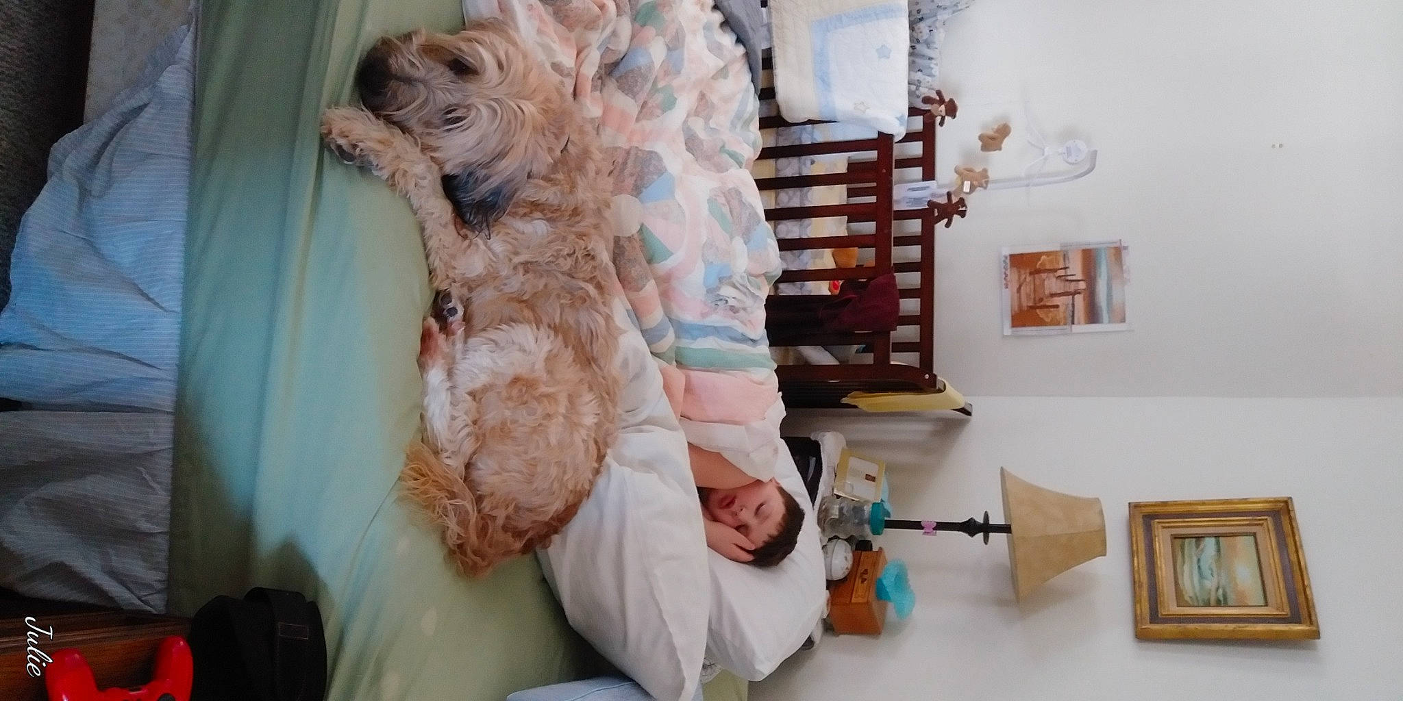 Fletcher joined the competition — help win amazing prizes! art, curtain, fashion_design, feather, fur, house, interior_design, linens, peach, picture_frame, plush, room, shelf, shelving, stuffed_toy, teddy_bear, toy, visual_arts, window_treatment, wood