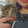 Precious joined the competition — help win amazing prizes! kitten, cat, pet, hand, person, jacket, choker, necklace, fur, cute, animal, closeup, portrait, face, eyes, indoor, holding, nail_polish, soft, young