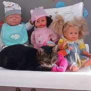 Plume participe au concours pour gagner de l'argent avec cette photo : cat, tabby_cat, doll, baby_doll, changing_pad, baby_clothes, toy, indoor, furniture, curtain, table, vintage, pink, blue, yellow, face, animal, resting, soft_lighting, still_life