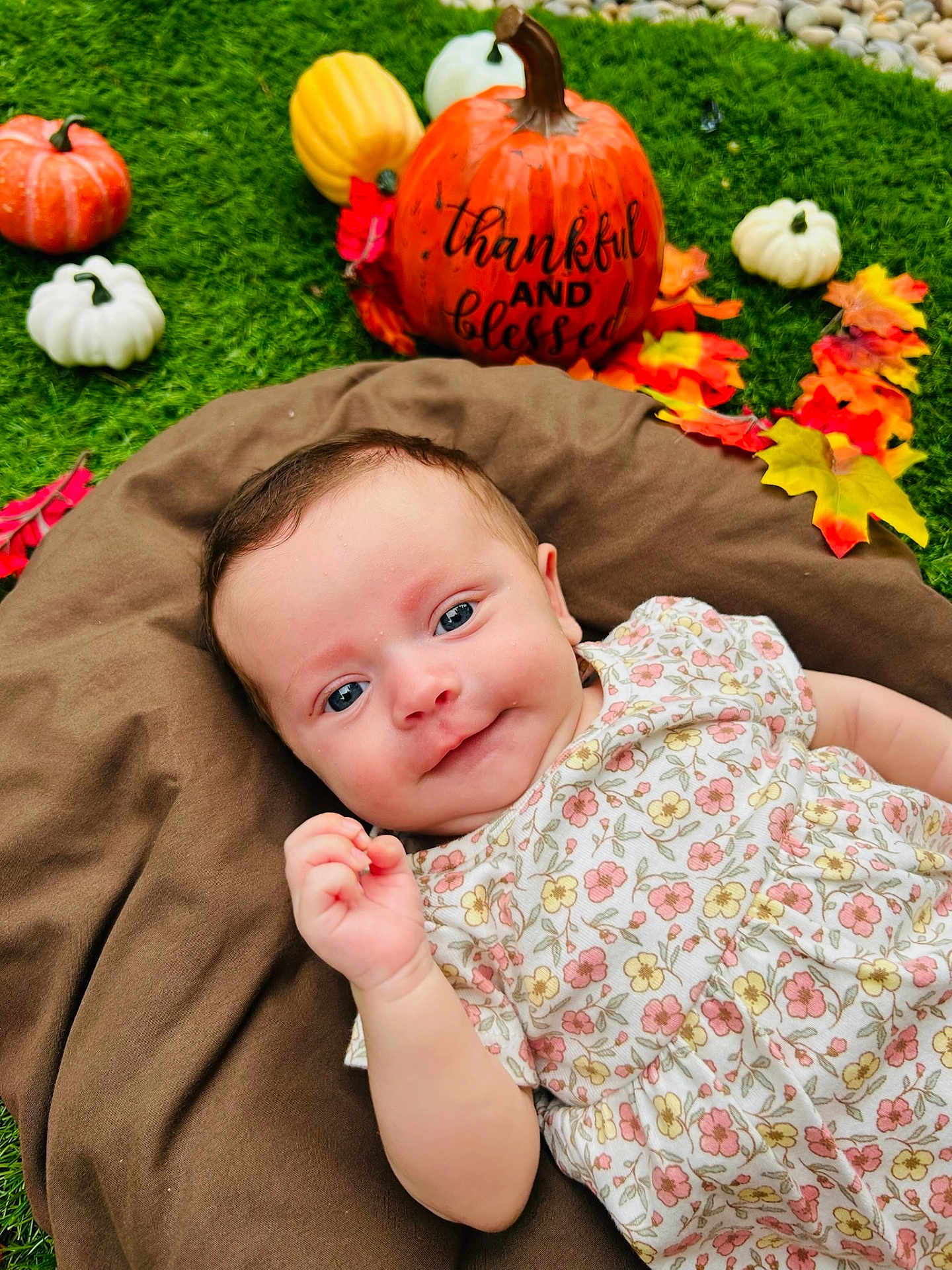 Alivia joined the competition — help win amazing prizes! baby, infant, face, smile, cushion, pumpkin, decorative_pumpkin, autumn_leaves, fall, grass, outdoor, cute, child, floral_dress, happy, seasonal, holiday_decor, nature, portrait, baby_girl