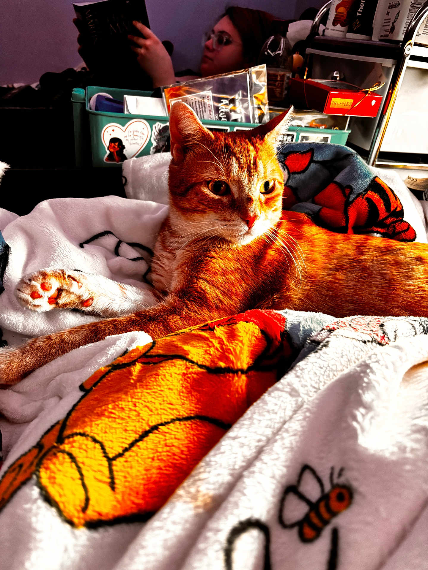 Charles joined the competition — help win amazing prizes! cat, orange_tabby, blanket, cartoon, person, reading, book, indoor, cozy, furniture, face, glasses, relaxing, pet, animal, fur, paw, colorful, warm_lighting, home