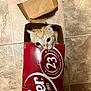 Charles joined the competition — help win amazing prizes! cat, orange_tabby, cardboard_box, dr_pepper, floor, tile, curious, pet, indoor, playful, cute, animal, small, container, peek, snug, ears, wide_eyes, hiding, cozy
