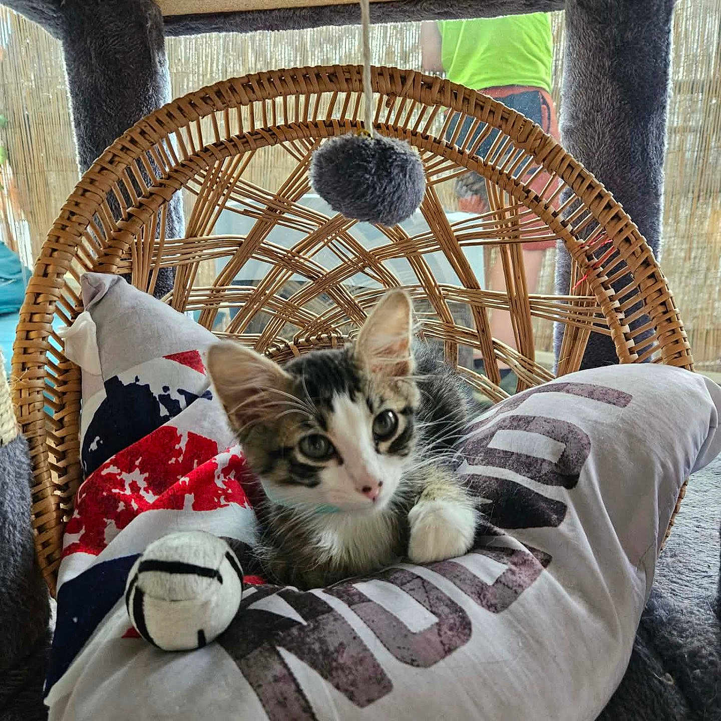 Milo