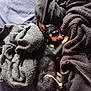 Arya participe au concours pour gagner de l'argent avec cette photo : dog, chihuahua, sleeping, blanket, bed, cozy, black, tan, pet, rest, indoor, fur, small_dog, cute, nap, soft, warm, paws, relax, animal