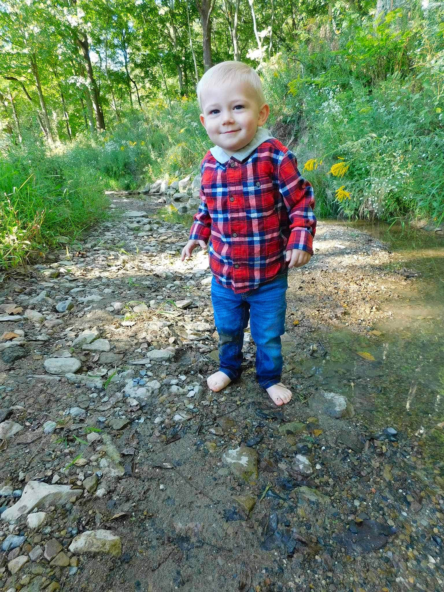 Billy joined the competition — help win amazing prizes! baby, child, deciduous, forest, grass, joy, landscape, leaf, leisure, natural_landscape, pattern, people_in_nature, person, plaid, plant, road_surface, soil, toddler, tree, walking