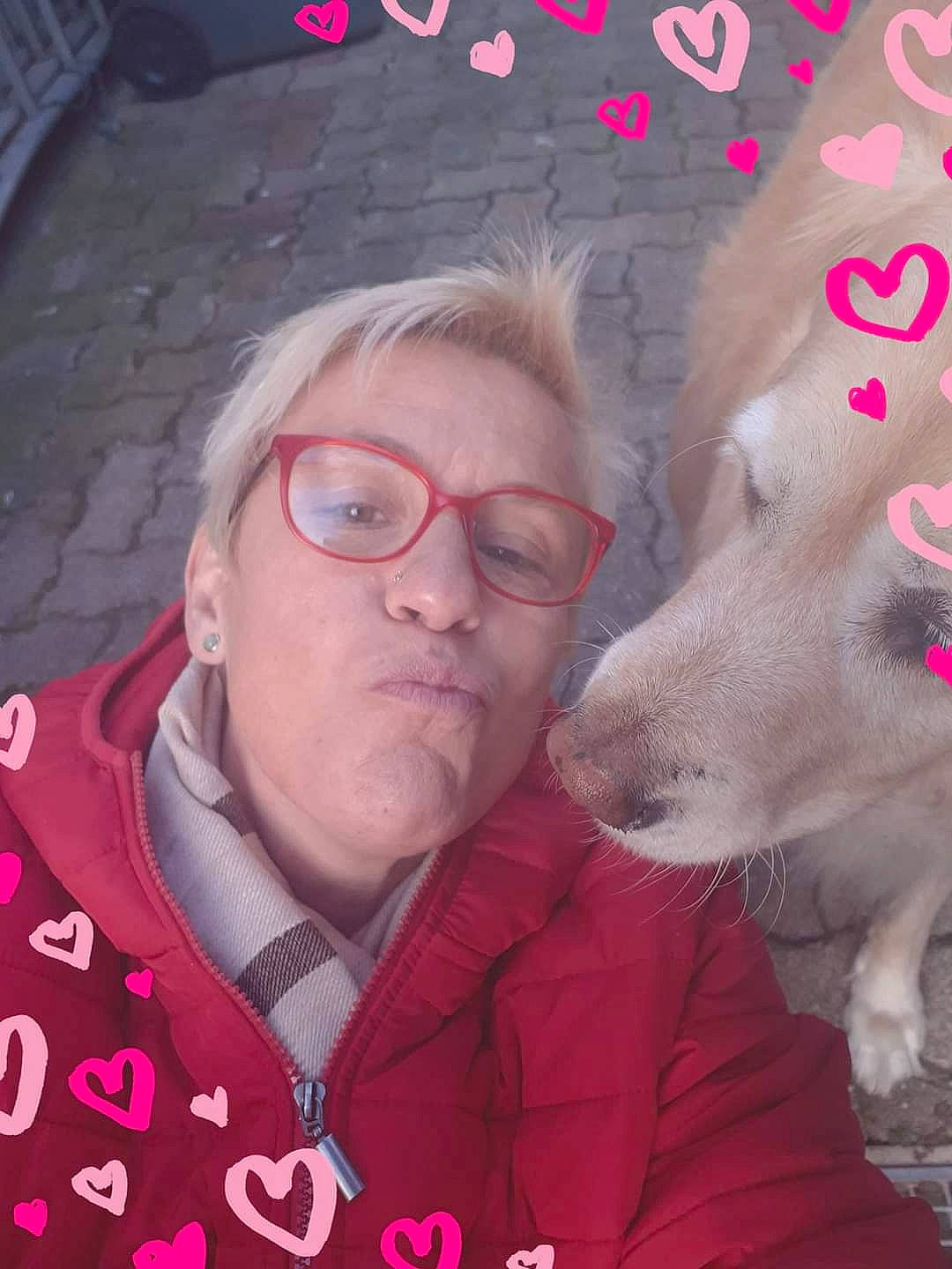 Flavie participe au concours pour gagner de l'argent avec cette photo : carnivore, cool, dog, ear, eyebrow, eyelash, eyewear, fawn, gesture, glasses, happy, jaw, lip, mammal, mouth, nose, organ, pink, vertebrate, vision_care