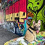 Mimi joined the competition — help win amazing prizes! dog, french_bulldog, puppy, graffiti, urban, street_art, colorful, concrete, wall, sitting, tongue_out, ears_up, leash, outdoor, daylight, playful, cute, animal, young, pet