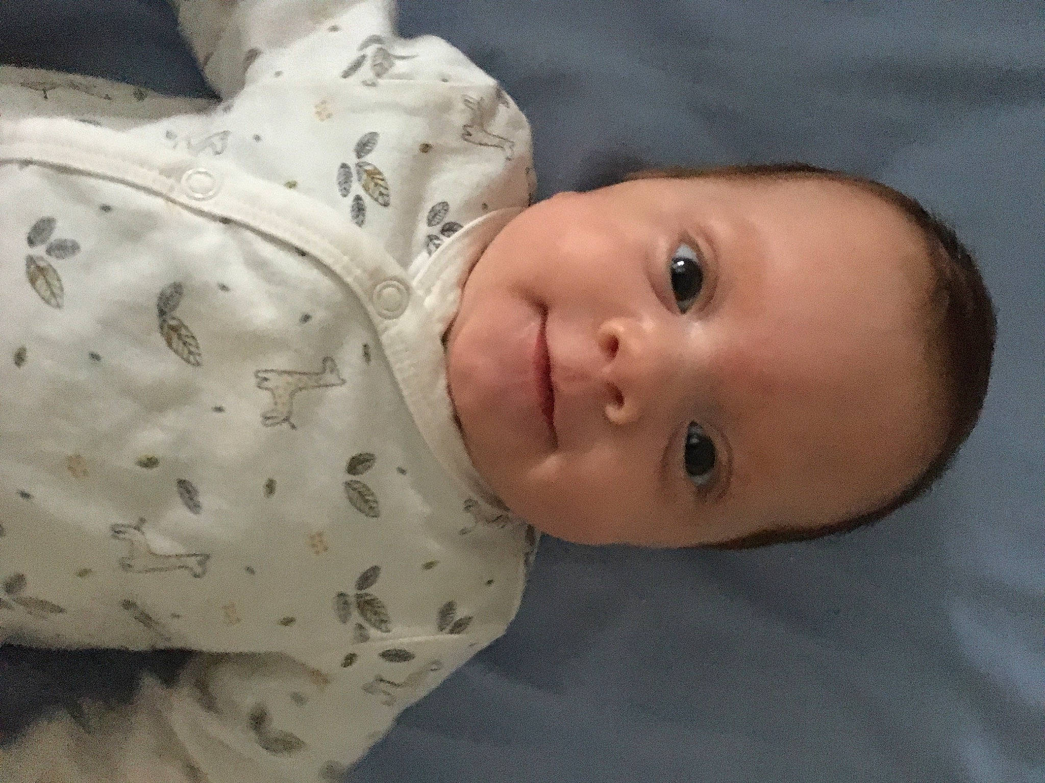 Lyara participe au concours pour gagner de l'argent avec cette photo : baby, cheek, child, chin, eye, face, forehead, head, mouth, nose, person, skin, toddler