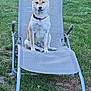 Joy participe au concours pour gagner de l'argent avec cette photo : animal, backyard, canine, collar, daytime, dog, fur, garden, grass, greenery, leisure, lounge_chair, nature, outdoor, park, pet, relaxation, shiba_inu, sitting, summer