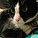 Lord Piffington