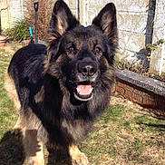 Sabre is registered to the contest to win money with this photo: