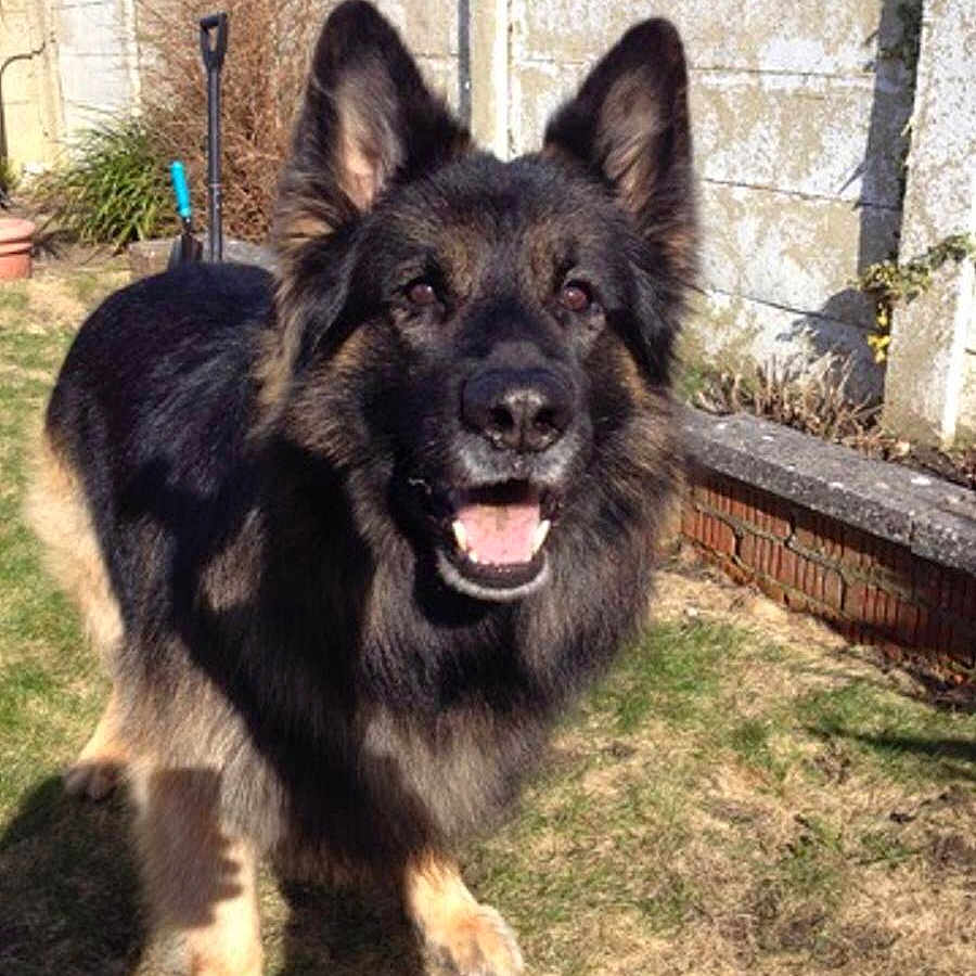 Sabre is registered to the contest to win money with this photo: