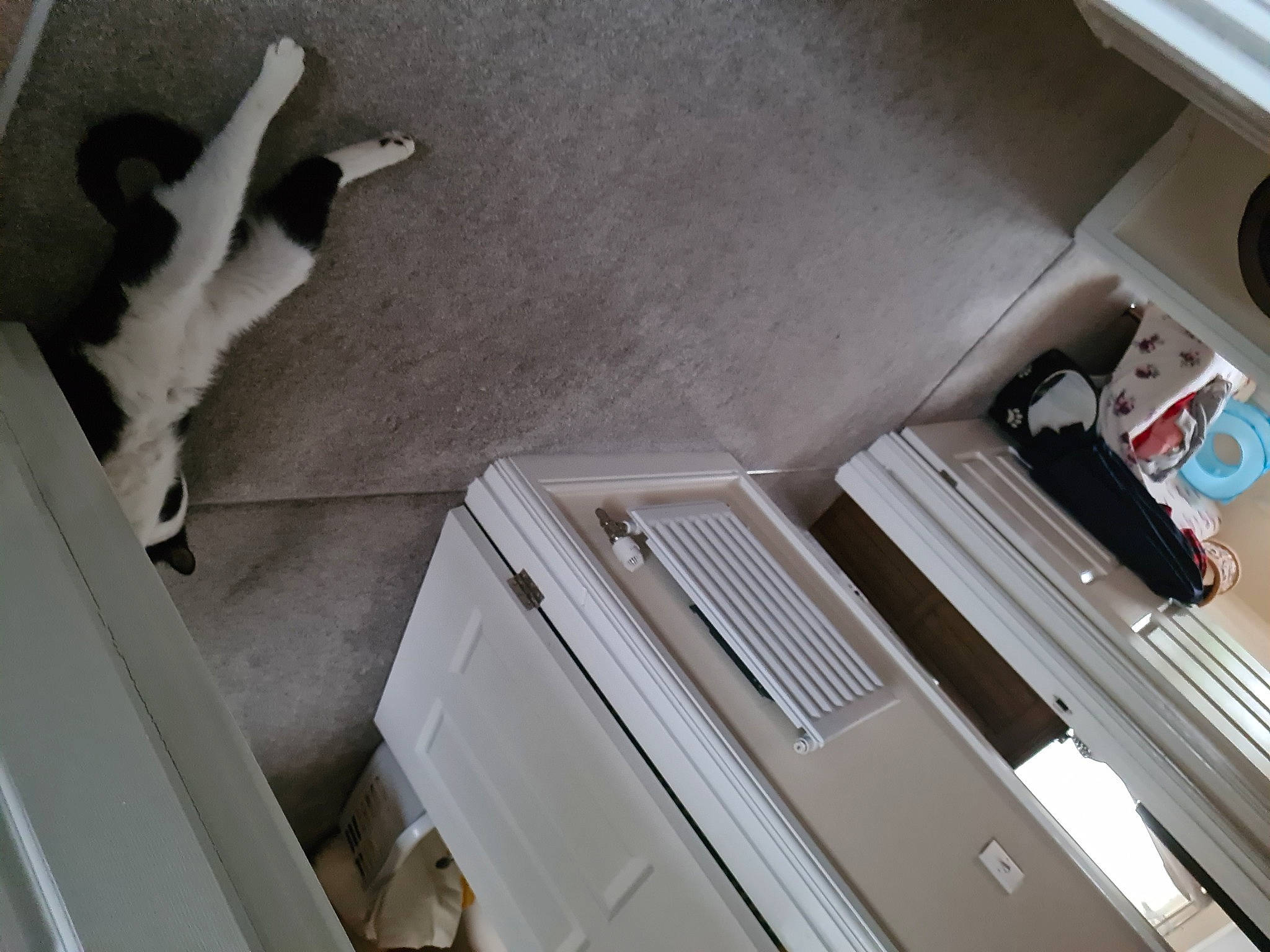 Thomas is registered to the contest to win money with this photo: audio_equipment, automotive_design, automotive_exterior, ceiling, family_car, floor, flooring, hardwood, machine, molding, personal_luxury_car, plaster, room, trunk, vehicle, vehicle_door, wood