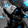 animal, bed, black_cat, blanket, blue_butterflies, butterflies, cat, close_up, cozy, cushion, ears, eyes, feline, fur, indoor, pet, relaxed, resting, soft_toys, whiskers
