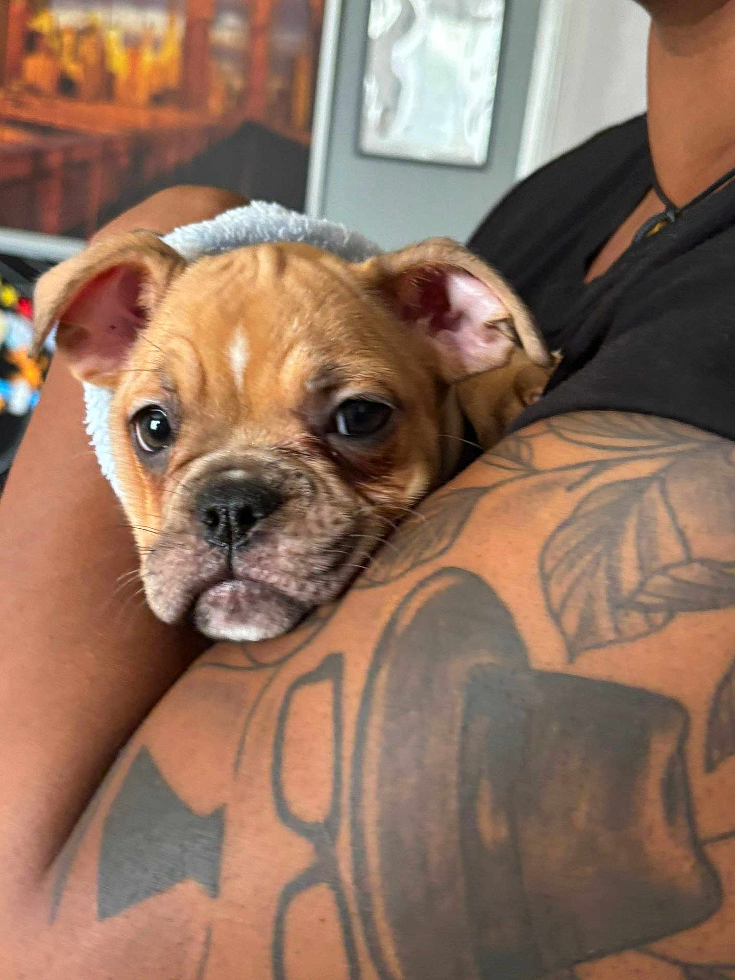 Coco