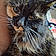 Patches