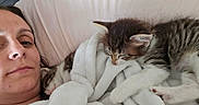 Lucky Toe Beans is registered to the contest to win money with this photo: animal, bed, blanket, comfort, companion, cozy, cute, domestic, feline, fur, indoor, kitten, nap, person, pet, relaxation, resting, sleeping, soft, young