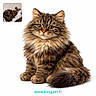 cat, fluffy, green_eyes, sitting, feline, pet, portrait, long_hair, cute, animal, domestic_cat, furry, resting, cozy, indoor, toy, pillow, sleeping, small_inset, white_background