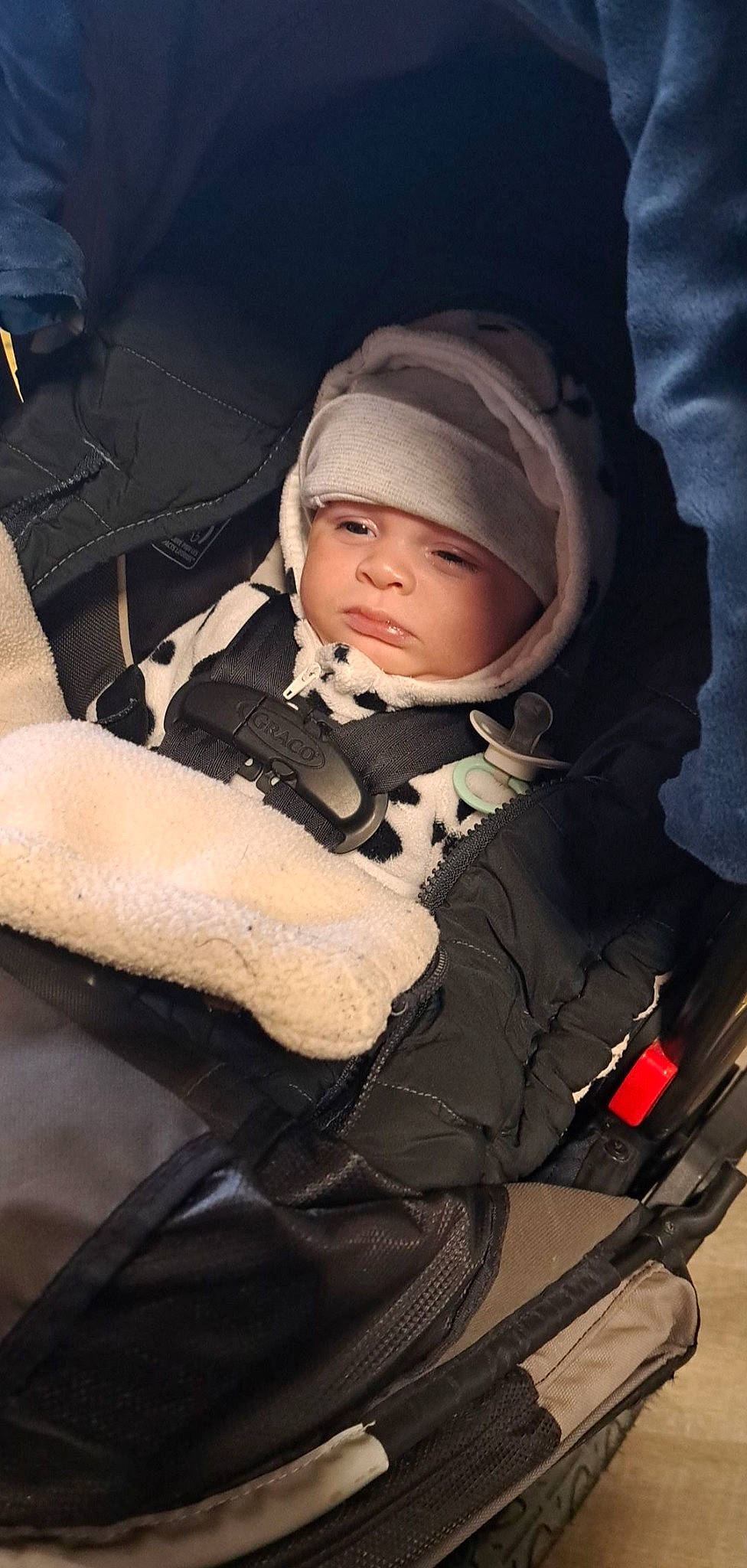 Kylo joined the competition — help win amazing prizes! auto_part, baby, baby_carriage, baby_products, baby_toddler_clothing, beanie, car_seat, cheek, child, comfort, fun, headwear, person, personal_protective_equipment, sitting, sleeve, toddler, tree
